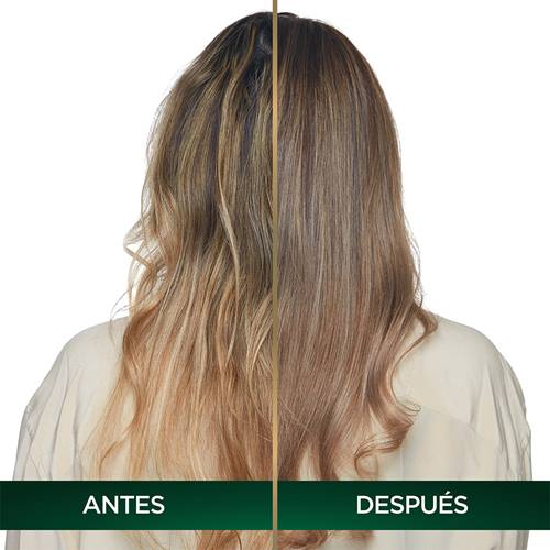 tintura garnier antes y despues